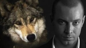Песни для души.
«Не купишь совесть «