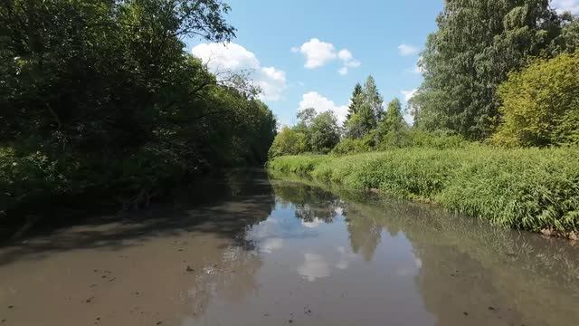 Река Пельшма