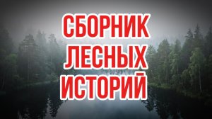Сборник лесных историй