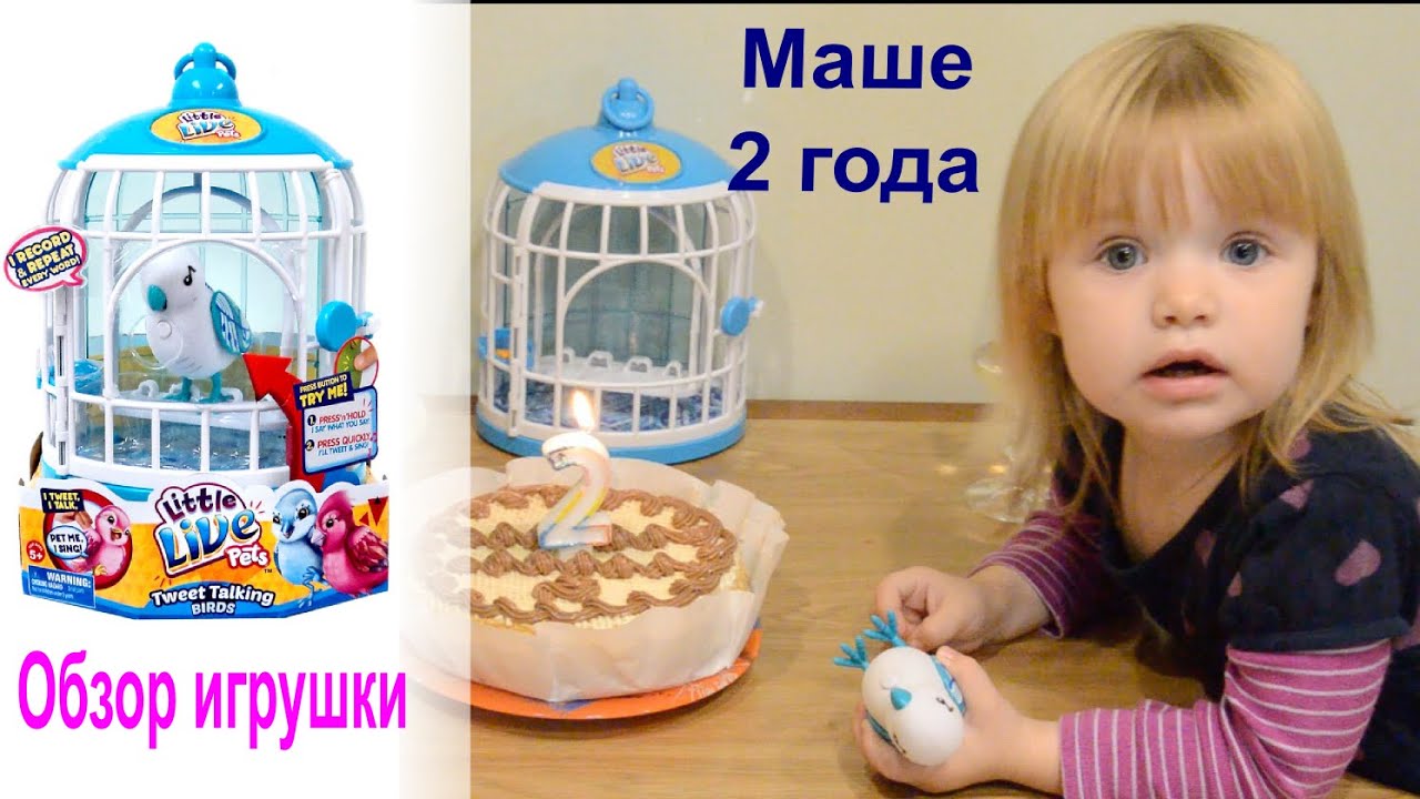 Машеньке 2 года и обзор птички Little Live Pets S2 Bird Cage смотреть онлайн