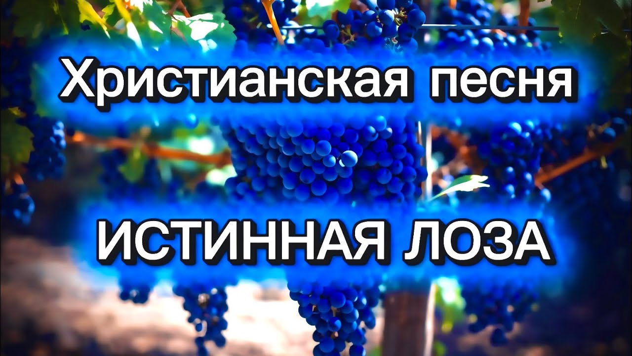 Виноградарь - Наш Отец | ИСТИННАЯ ЛОЗА | песни поклонения | #christiansong #христианскиепесни смотреть онлайн