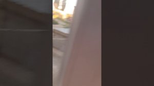 наша семья