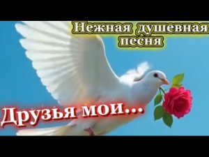 Душевная, трогательная песня - Друзья мои...
