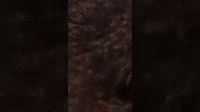 4345.mp4 смотреть онлайн