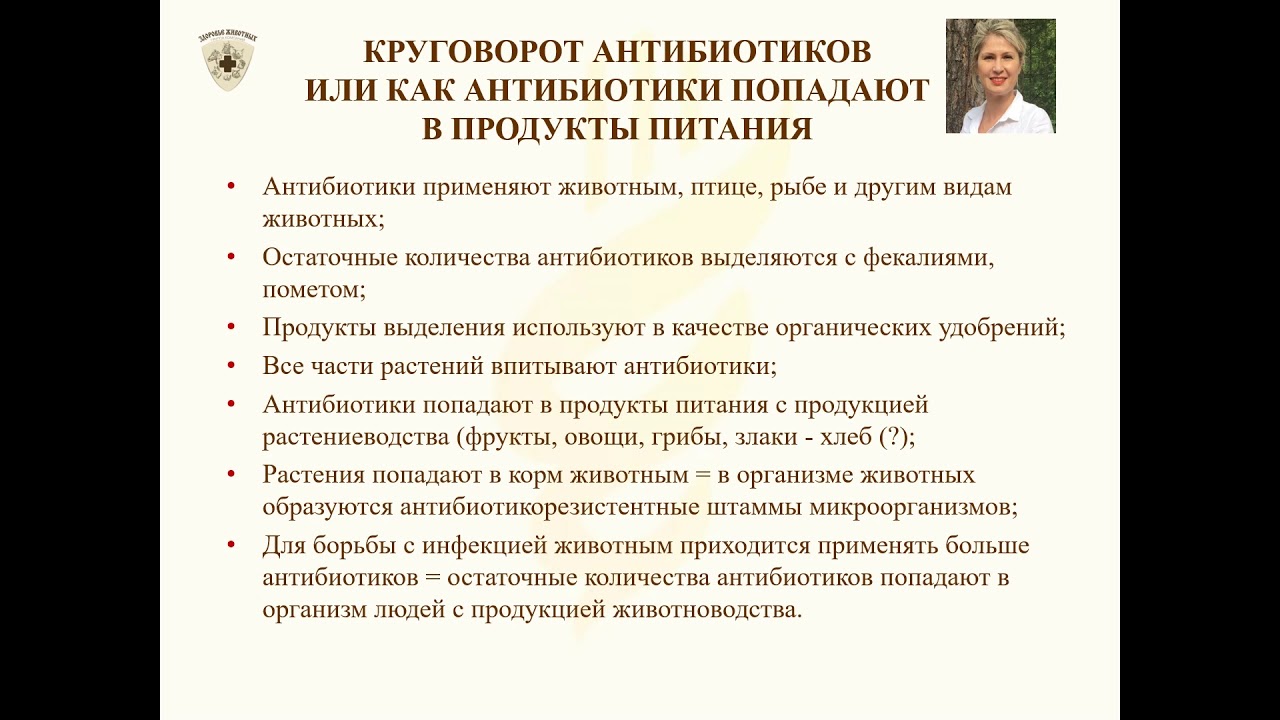 Антибиотики в мясе. Что делать с лечеными вынужденно убитыми животными? смотреть онлайн