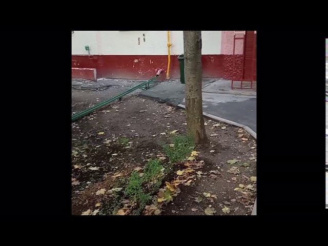 Акция памяти Максима Марцинкевича Тесака.