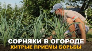 МОГУТ ЛИ БЫТЬ ПОЛЕЗНЫ СОРНЯКИ ОГОРОДУ? Методы борьбы с сорняками и когда они приносят пользу.