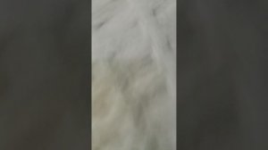 пять ночей с редом четвёртая ночь