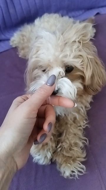 #ульяшабалаково#ева