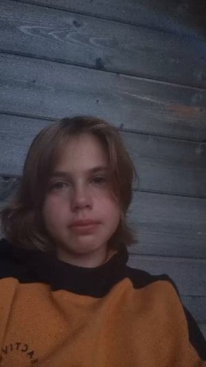 у меня пропала собака