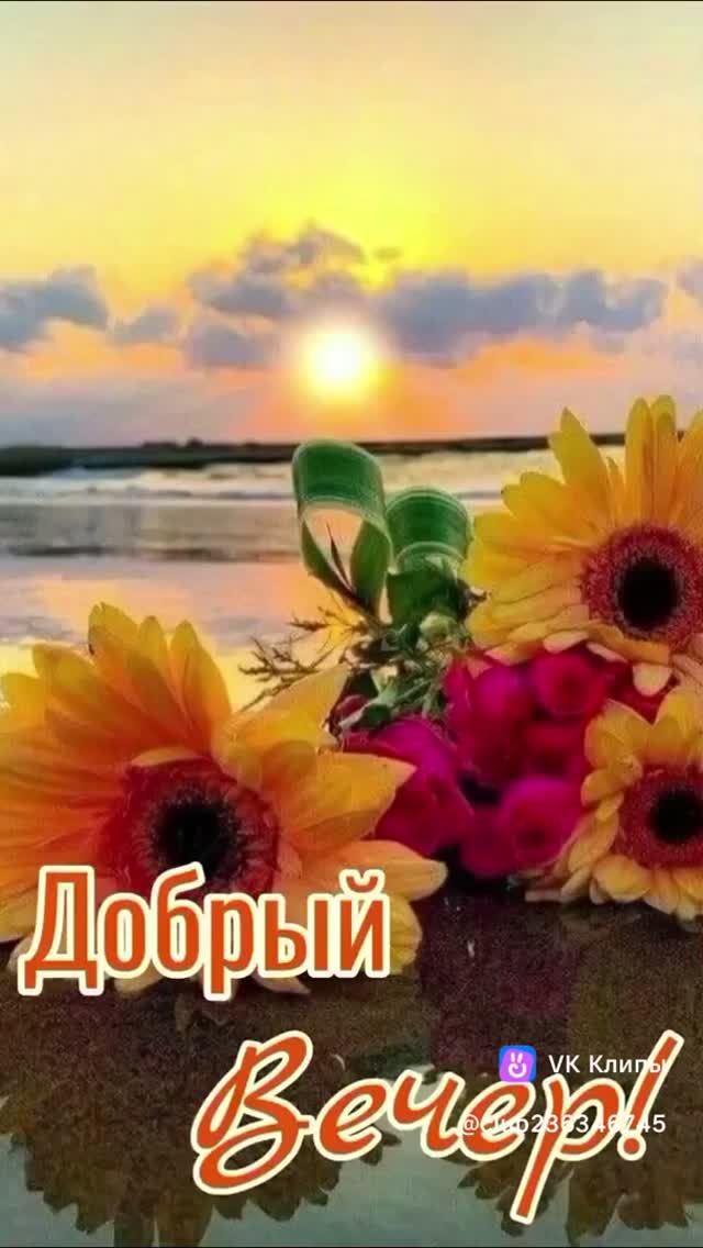 Добрый вечер! смотреть онлайн