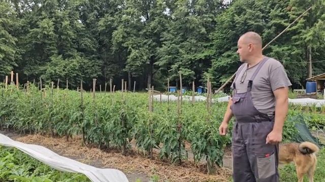 ПРОЖИТЬ БЕЗ МАГАЗИНОВ КАК НАС КОРМИТ РОДНОЙ ХУТОР смотреть онлайн