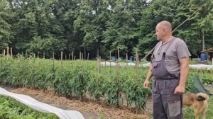ПРОЖИТЬ БЕЗ МАГАЗИНОВ КАК НАС КОРМИТ РОДНОЙ ХУТОР