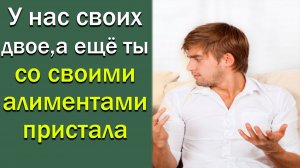 У нас своих двое, а еще ты со своими алиментами пристала