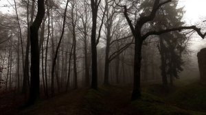 Слова - Страшные истории на ночь