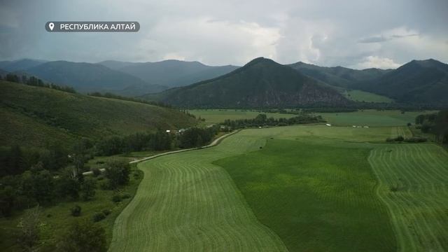 "Будни" (новости, 10.07.26г., Бийское телевидение) смотреть онлайн