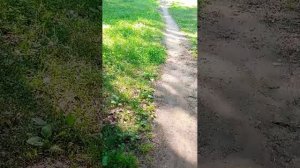 Беседа и прогулка