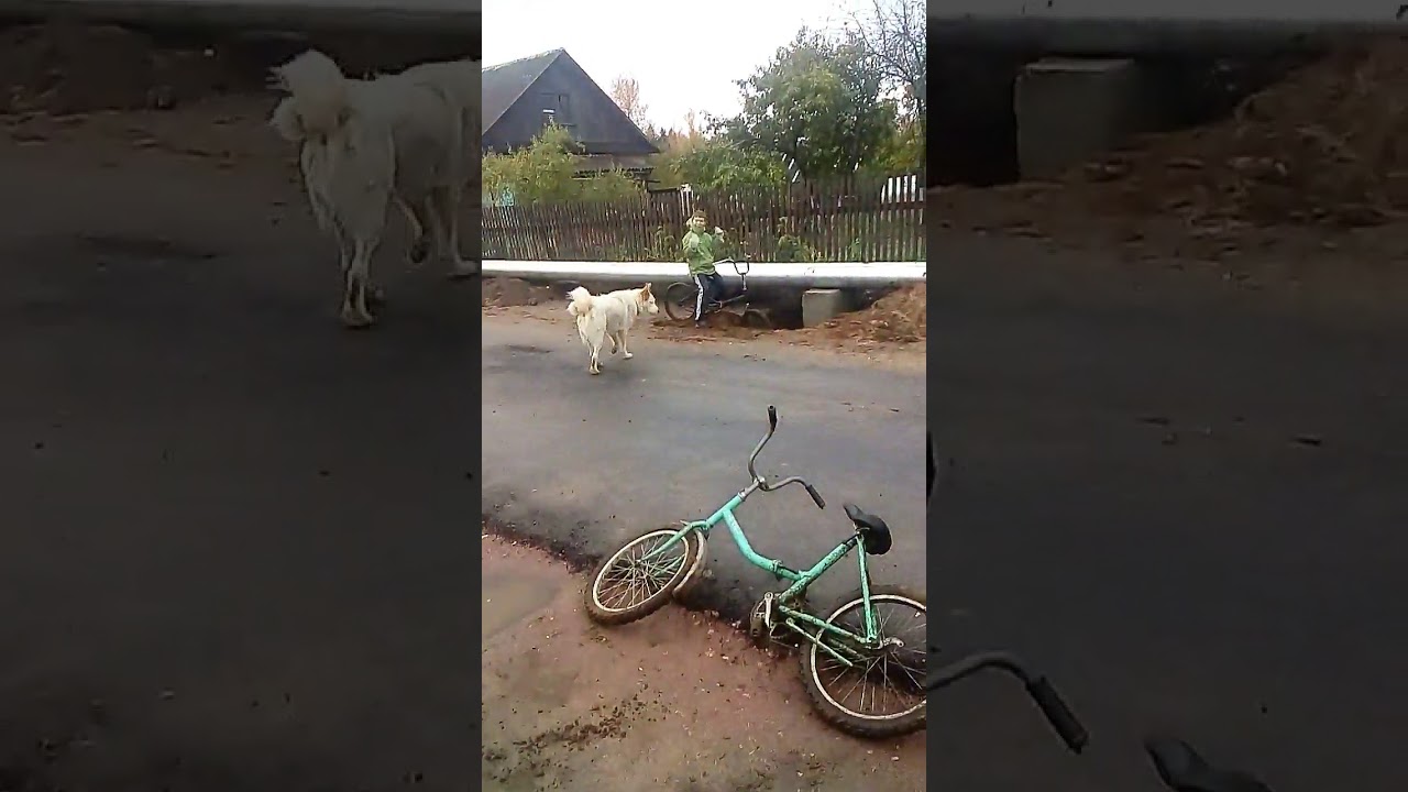 Вован катается на велосипеде смотреть онлайн