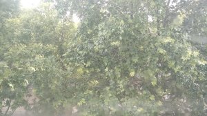В Симферополе ливень. Авто плывут.