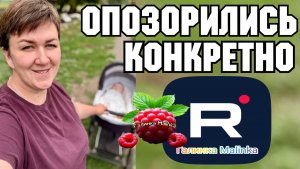 Опозорились конкретно /Деревенский дневник очень многодетной мамы /Обзор