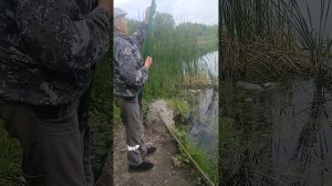 РЫБАЛКА НА ПОПЛАВОК.