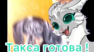 Я ЗАКОНЧИЛА ТАКСУ !!! Всем посмотреть