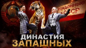 Как Запашные подчинили самых опасных хищников: история легендарной цирковой династии