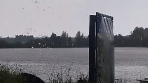 1000049375.mp4