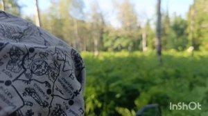 Квадроциклы РМ650 и 800 по тайге