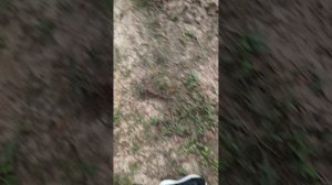 4246.mp4