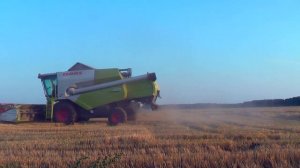 Уборка пшеницы: комбайнеры в поле под песню Игоря Растеряева. Мощь и красота сельского труда 🚜🌾