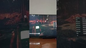 стрим по sons of the forest