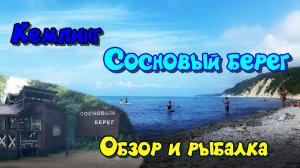 Кемпинг на море. Сосновый берег. Обзор и рыбалка 2026