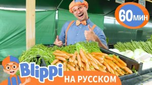 Песенка Про Ферму _ Изучай этот мир вместе с Блиппи _ Обучающие песни для детей