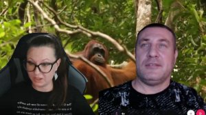 Девушку мучает вопрос, где вьют гнезда орангутанги, выясняем 🤣🤣🤣