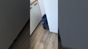 Влог номер 3 Грузия часть 1