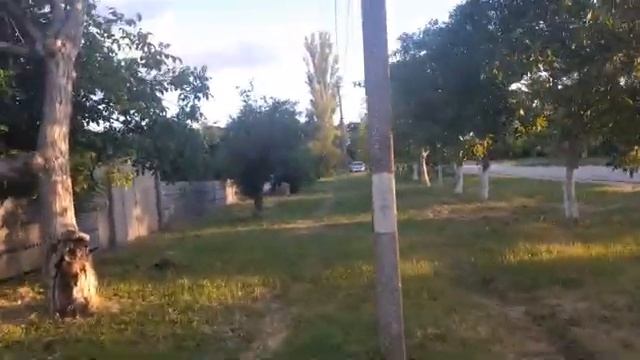 The Real 751 смотреть онлайн