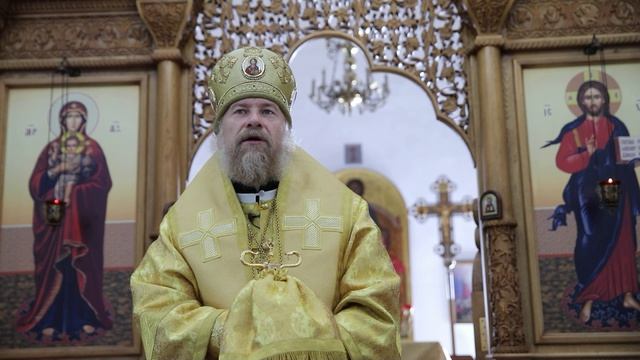 Проповедь митрополита Воронежского и Лискинского Леонтия. Воронеж, 12 июля 2026 года.