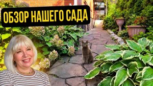 🔴Наш сад — место силы 🌿 Полный обзор и прогулка по участку