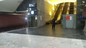 Станция метро Борисово интерьер, пассажиры, поезд Москва Фрагмент 26