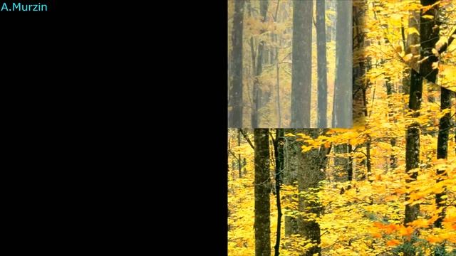 Kenji - Shadow Hope