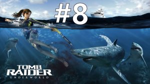 ЗАГАДКА КАЛЕНДАРЕЙ МАЙЯ ► Tomb Raider: Underworld #8