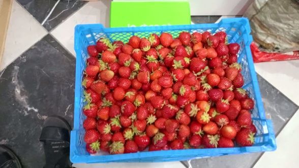 ОПЕРАЦИЯ КЛУБНИКА,КОТЛЕТОСЫ и всяко разно...)