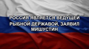 Россия является ведущей рыбной державой, заявил Мишустин