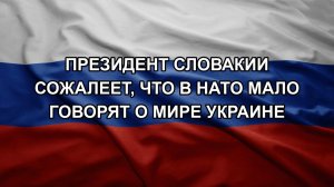 Президент Словакии сожалеет, что в НАТО мало говорят о мире Украине
