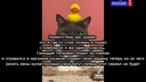RVA:Последняя серия Спокойной ночи котикам!