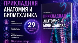 Программа Прикладная анатомия и биомеханика