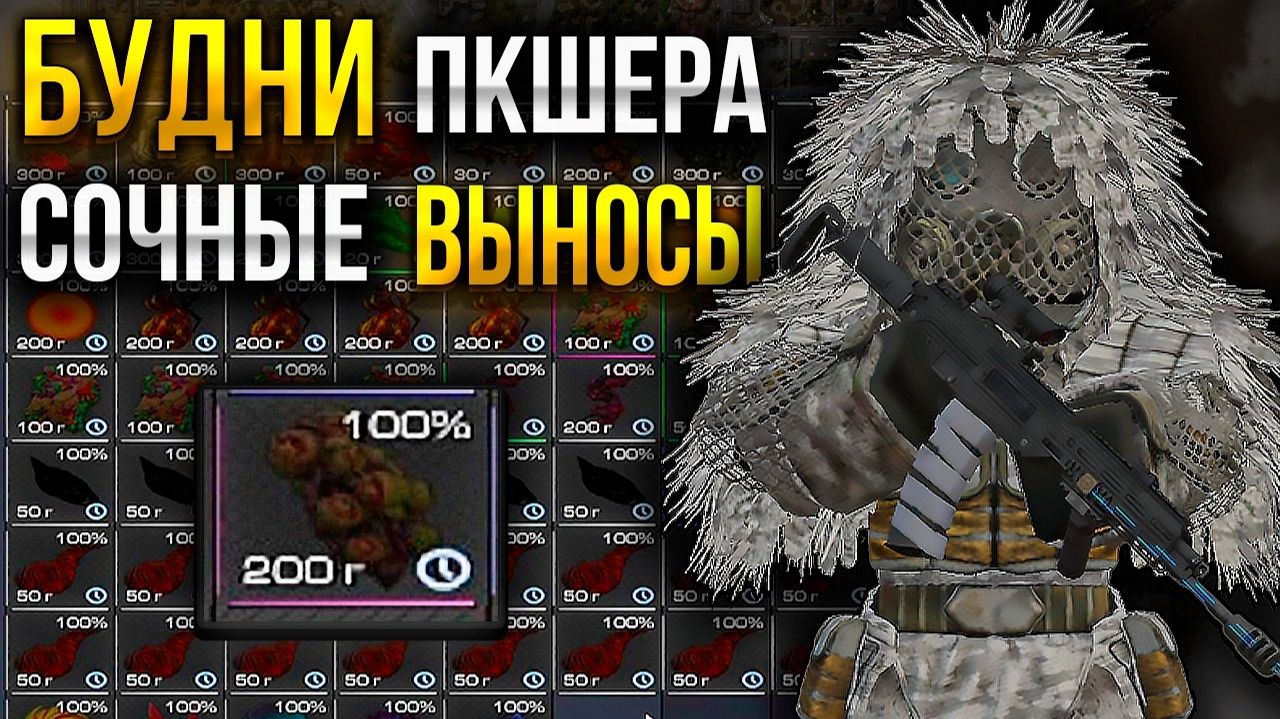Будни ПКшера В STALZONE - Сочные выносы в STALCRAFT X