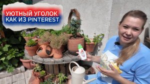 Делаем уютный Pinterest‑уголок в саду своими руками. Керамические кашпо. растения и немного магии
