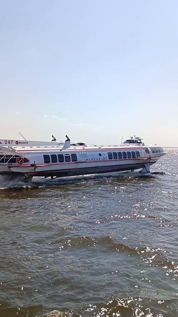 Вид с экскурсионного теплохода на Скоростной теплоход Метеор.